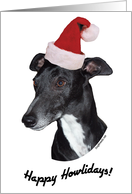 Happy Howlidays Christmas Card - Whippet card