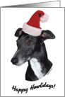 Happy Howlidays Christmas Card - Whippet card