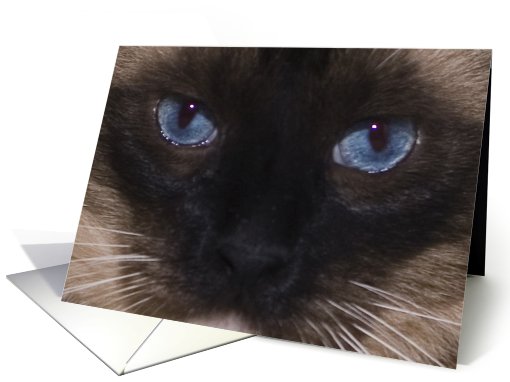 Hi - Cat Face card (511798)
