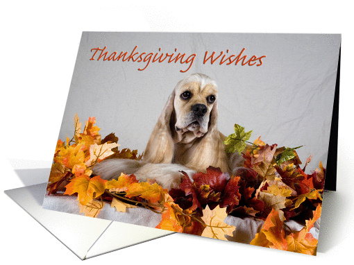 Thanksgiving Card - featuring a Cocker Spaniel card (518643)