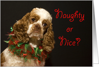 Christmas Card - featuring a Cocker Spaniel card