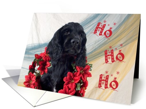 Christmas Card - featuring a Cocker Spaniel puppy card (519432)