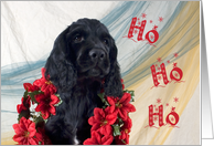 Christmas Card - featuring a Cocker Spaniel puppy card