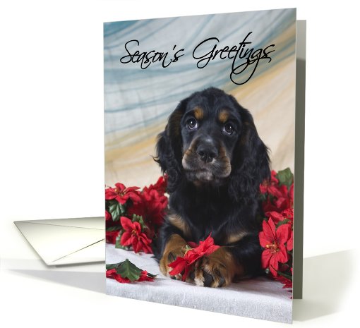 Christmas Card - featuring a Cocker Spaniel puppy card (519434)