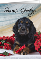 Christmas Card - featuring a Cocker Spaniel puppy card