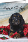 Christmas Card - featuring a Cocker Spaniel puppy card