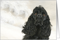 Pet Loss Sympathy Card - featuring a Cocker Spaniel card