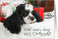 Christmas Card - featuring a Parti Cocker Spaniel card