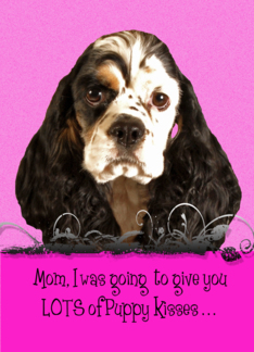 Mothers Day Card...