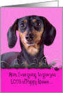 Mothers Day Card Licker License - featuring a black and tan Dachsund card