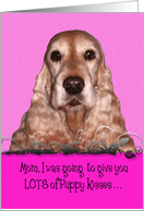 Mothers Day Card Licker License - featuring an English Cocker Spaniel card