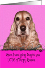 Mothers Day Card Licker License - featuring an English Cocker Spaniel card