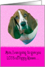 Mothers Day Card Licker License - featuring a Basset Hound card