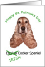 Happy St. Patrick’s Day - (Irish) American Cocker Spaniel card