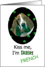 St. Patricks Card - Kiss Me, I’m Irish (French) - featuring a Basset Hound card
