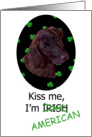 St. Patricks Card - Kiss Me, I’m Irish (American) - featuring a Plott Hound card