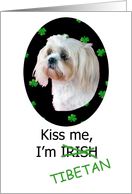 St. Patricks Card - Kiss Me, I’m Irish (Tibetan) - featuring a Lhasa Apso card