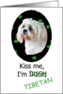 St. Patricks Card - Kiss Me, I’m Irish (Tibetan) - featuring a Lhasa Apso card