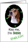 St. Patricks Card - Kiss Me, I’m Irish (English) - featuring a Beagle card