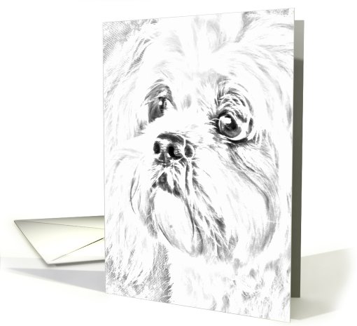 Pet Loss Sympathy - Lhasa Apso card (615181)