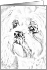 Pet Loss Sympathy - Lhasa Apso card