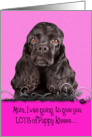 Mothers Day Licker License - featuring a black American Cocker Spaniel card