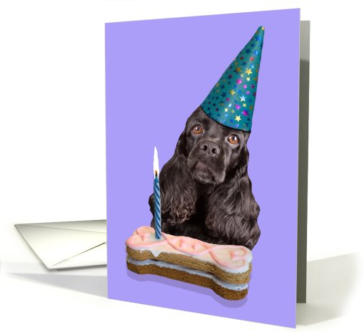 Happy Birthday Card - featuring a black American Cocker Spaniel card