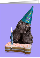 Happy Birthday Card - featuring a black American Cocker Spaniel card