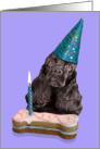 Happy Birthday Card - featuring a black American Cocker Spaniel card