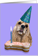 Happy Birthday Card - featuring a buff American Cocker Spaniel card
