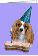 Happy Birthday Card - featuring a Cavalier King Charles Spaniel card