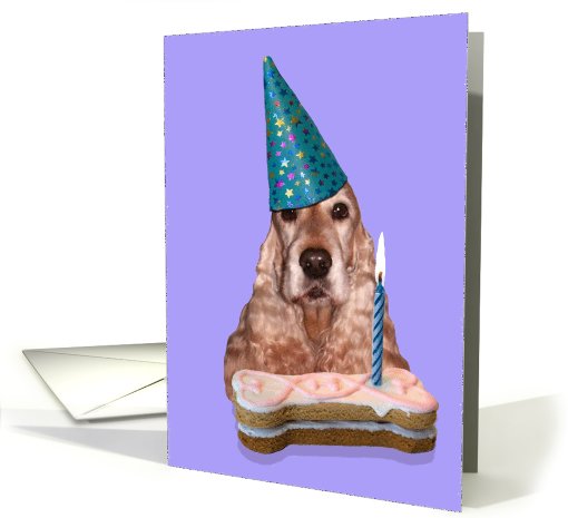 Happy Birthday Card - featuring an English Cocker Spaniel card