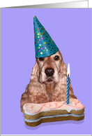 Happy Birthday Card - featuring an English Cocker Spaniel card
