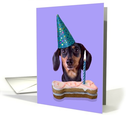Happy Birthday Card - featuring a Dachshund card (625548)