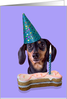 Happy Birthday Card - featuring a Dachshund card