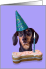 Happy Birthday Card - featuring a Dachshund card