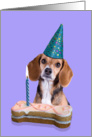 Happy Birthday Card - featuring a Beagle card