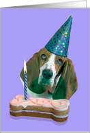 Happy Birthday Card - featuring a Basset Hound card