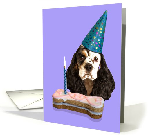Happy Birthday Card - featuring a parti-tri American... (625551)