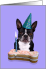 Happy Birthday Card - featuring a Boston Terrier card