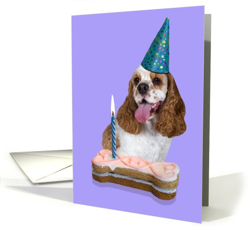 Happy Birthday Card - featuring a red/white parti American... (625576)