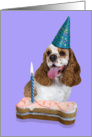 Happy Birthday Card - featuring a red/white parti American Cocker Spaniel card