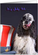 Fouth of July Card - featuring an American Cocker Spaniel card
