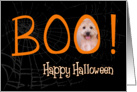 Boo! Happy Halloween - featuring a Glen of Imaal Terrier card