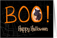 Boo! Happy Halloween - featuring a Scottish Terrier card