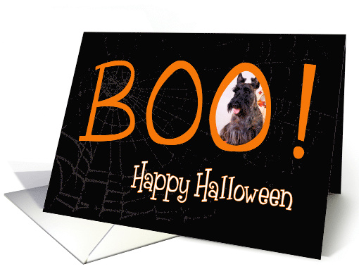 Boo! Happy Halloween - featuring a Scottish Terrier card (707296)