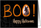 Boo! Happy Halloween - featuring a Scottish Terrier card