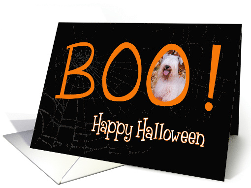 Boo! Happy Halloween - featuring a Sealyham Terrier card (707343)