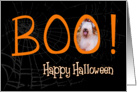 Boo! Happy Halloween - featuring a Sealyham Terrier card