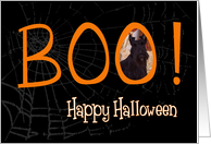 Boo! Happy Halloween - featuring a Scottish Terrier puppy card